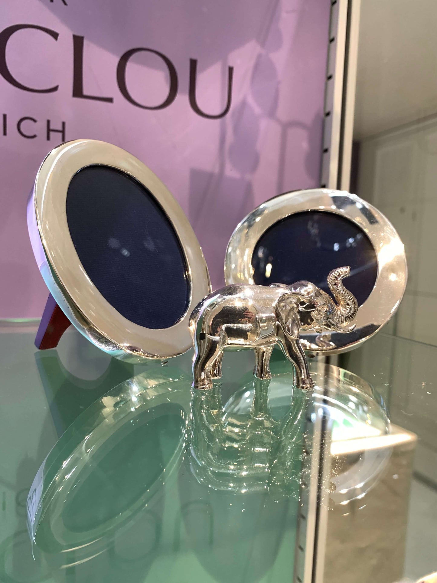 Chance et longévité des éléphants